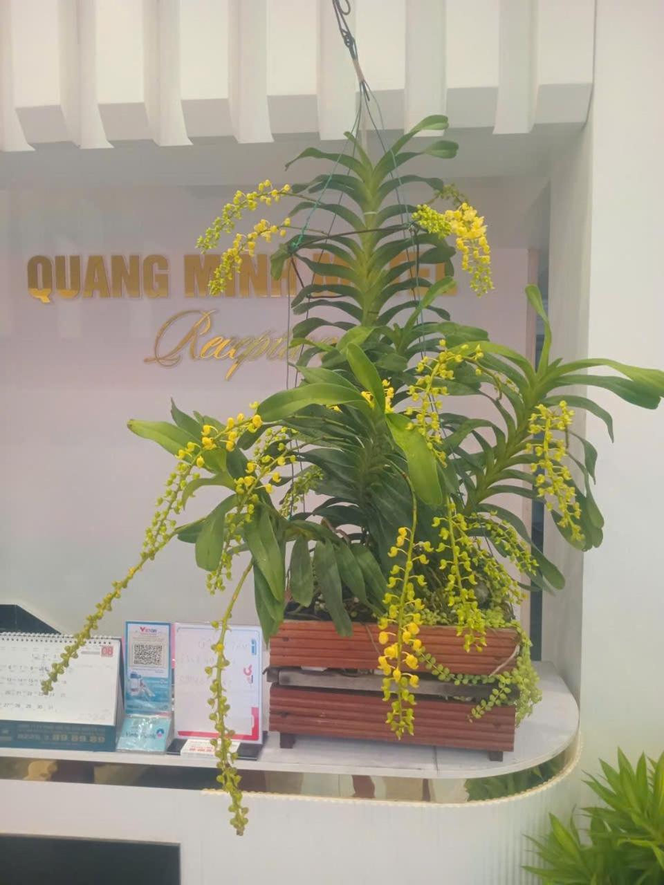 Quang Minh Hotel Дошон Экстерьер фото